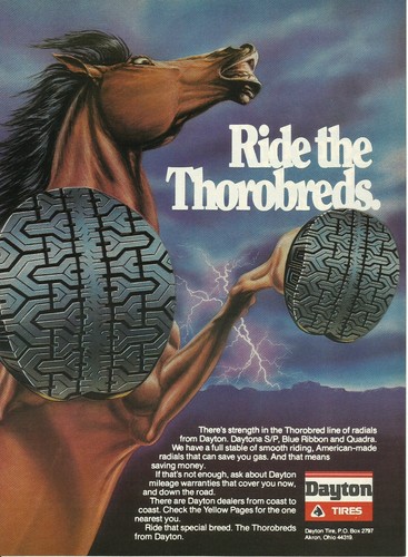 1981 dayton tires thorobred - dayton,